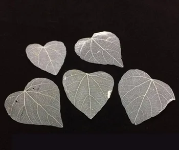 100pcs 4-7cm Pressed Dried Heart Shape Vein Leaf Leaves Plant Herbarium For Jewelry Postcard Invitation Card Making Accessories
100pcs 4-7cm Pressed Dried Heart Shape Vein Leaf Leaves Plant Herbarium For Jewelry Postcard Invitation Card Making Accessories