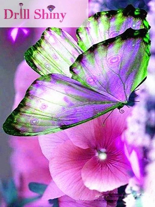 5D DIY Diamond Painting Butterfly with Flower Full Square Mosaic Rhinestone Embroidery Paintings Cross Stitch Needlework Decor
5D DIY Diamond Painting Butterfly with Flower Full Square Mosaic Rhinestone Embroidery Paintings Cross Stitch Needlework Decor