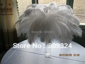 FREE-SHIPPING,Prefect Ostrich Feather Pure White14-16Inch Wedding Decoration wedding Centerpieces,table decoration
FREE-SHIPPING,Prefect Ostrich Feather Pure White14-16Inch Wedding Decoration wedding Centerpieces,table decoration