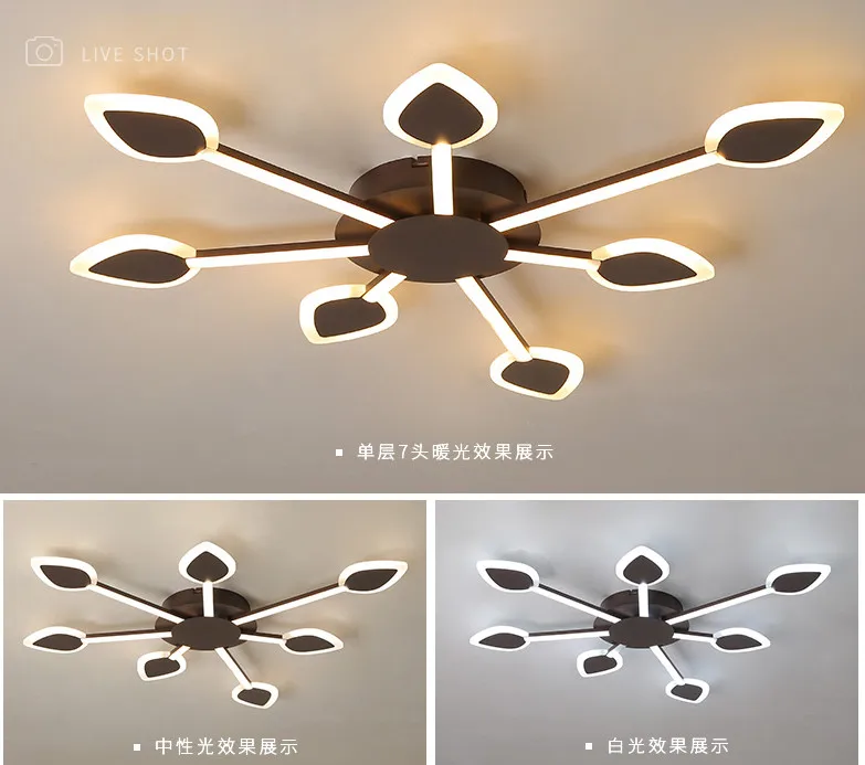 QQ20190406115018