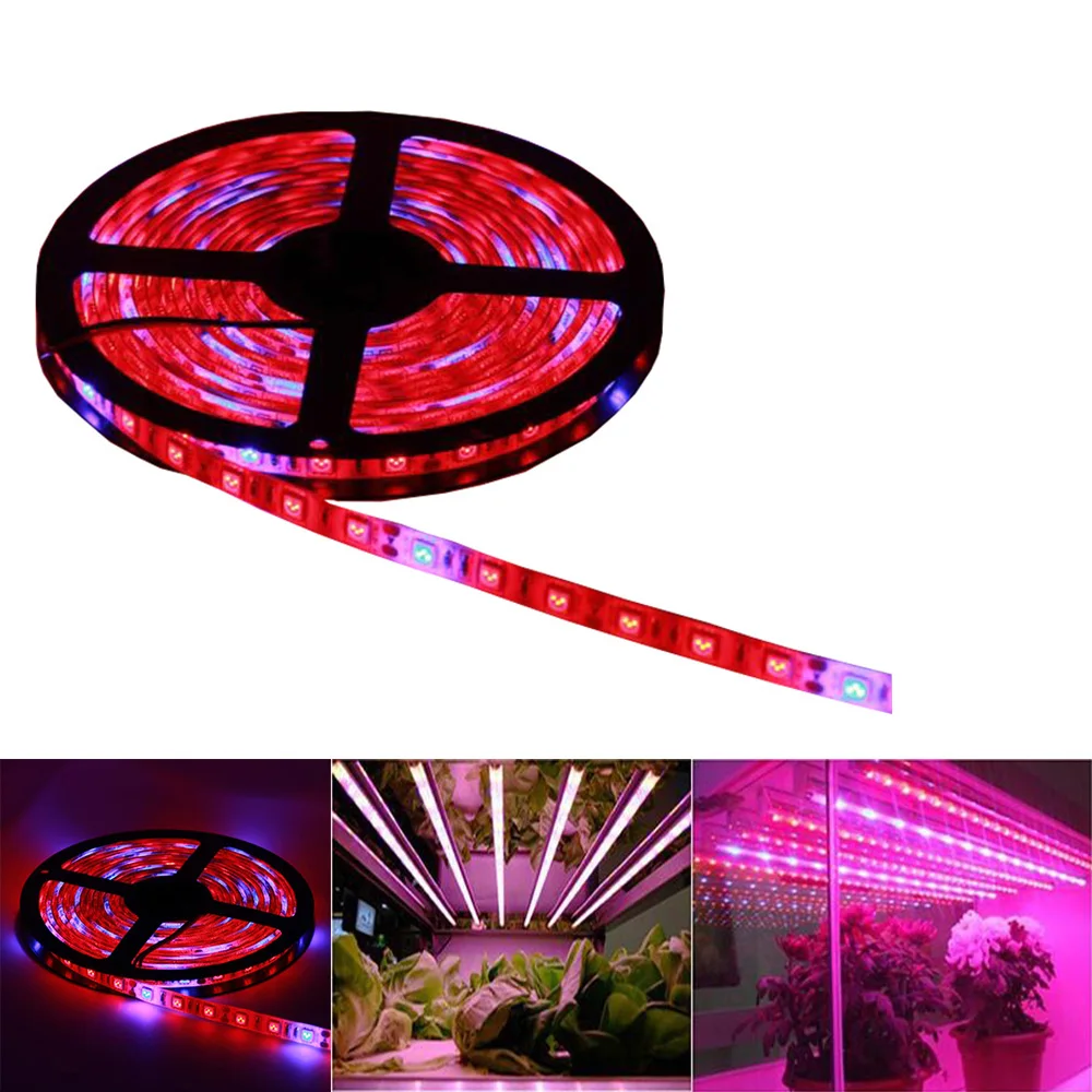 LED Plant Grow Lights Full Spectrum LED Strip Flower Phyto Lamp 5m Waterproof for Greenhouse Hydroponic
LED Plant Grow Lights Full Spectrum LED Strip Flower Phyto Lamp 5m Waterproof for Greenhouse Hydroponic
