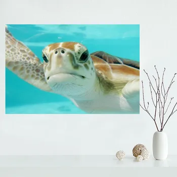 2020 New Product Sea Turtle Animal Poster Custom Satin Poster Print Cloth Fabric Wall Poster Print Silk Fabric Print Poster
2020 New Product Sea Turtle Animal Poster Custom Satin Poster Print Cloth Fabric Wall Poster Print Silk Fabric Print Poster