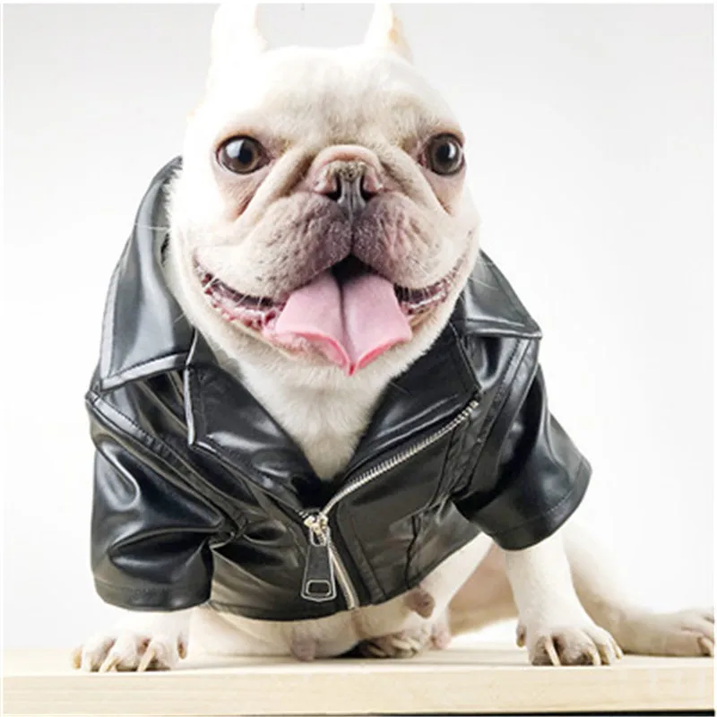 Pet Clothes jackets small Pet Dog Clothes pu Leather Black Motorcycle Jacket coat Autumn Winter waterproof pet dog clothes 2019
Pet Clothes jackets small Pet Dog Clothes pu Leather Black Motorcycle Jacket coat Autumn Winter waterproof pet dog clothes 2019