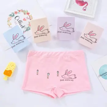 10Pcs/Lot Baby Girls Underwear Rabbit Pattern Teenage Cartoon Kids Panties Children Short Boxers Cotton Panties Cute Underpants
10Pcs/Lot Baby Girls Underwear Rabbit Pattern Teenage Cartoon Kids Panties Children Short Boxers Cotton Panties Cute Underpants