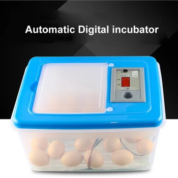 32 Egg Incubator For Eggs Broedmachine Mini Egg Chicken Duck Quail Hatcher Pigeon Birds Electronic Display Thermostat
32 Egg Incubator For Eggs Broedmachine Mini Egg Chicken Duck Quail Hatcher Pigeon Birds Electronic Display Thermostat