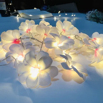 5 meter 40 led frangipani flower garlands with led light powered by battery,vase floral light decoration,Party flower string
5 meter 40 led frangipani flower garlands with led light powered by battery,vase floral light decoration,Party flower string
