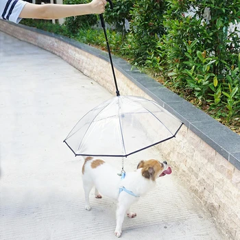 PE Stainless Steel Umbrella Raincoats Dog Pulling Rope Haulage Pet Dogs Cat Small Animal Outdoor Supplies Products Accessories
PE Stainless Steel Umbrella Raincoats Dog Pulling Rope Haulage Pet Dogs Cat Small Animal Outdoor Supplies Products Accessories