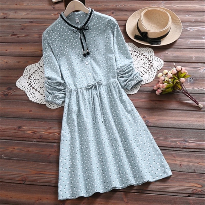 Japan Mori Girl Dress New Spring Autumn Women Long Sleeve Floral Print Vintage Dresses Green,Pink Flower Sweet Vestidos
Japan Mori Girl Dress New Spring Autumn Women Long Sleeve Floral Print Vintage Dresses Green,Pink Flower Sweet Vestidos