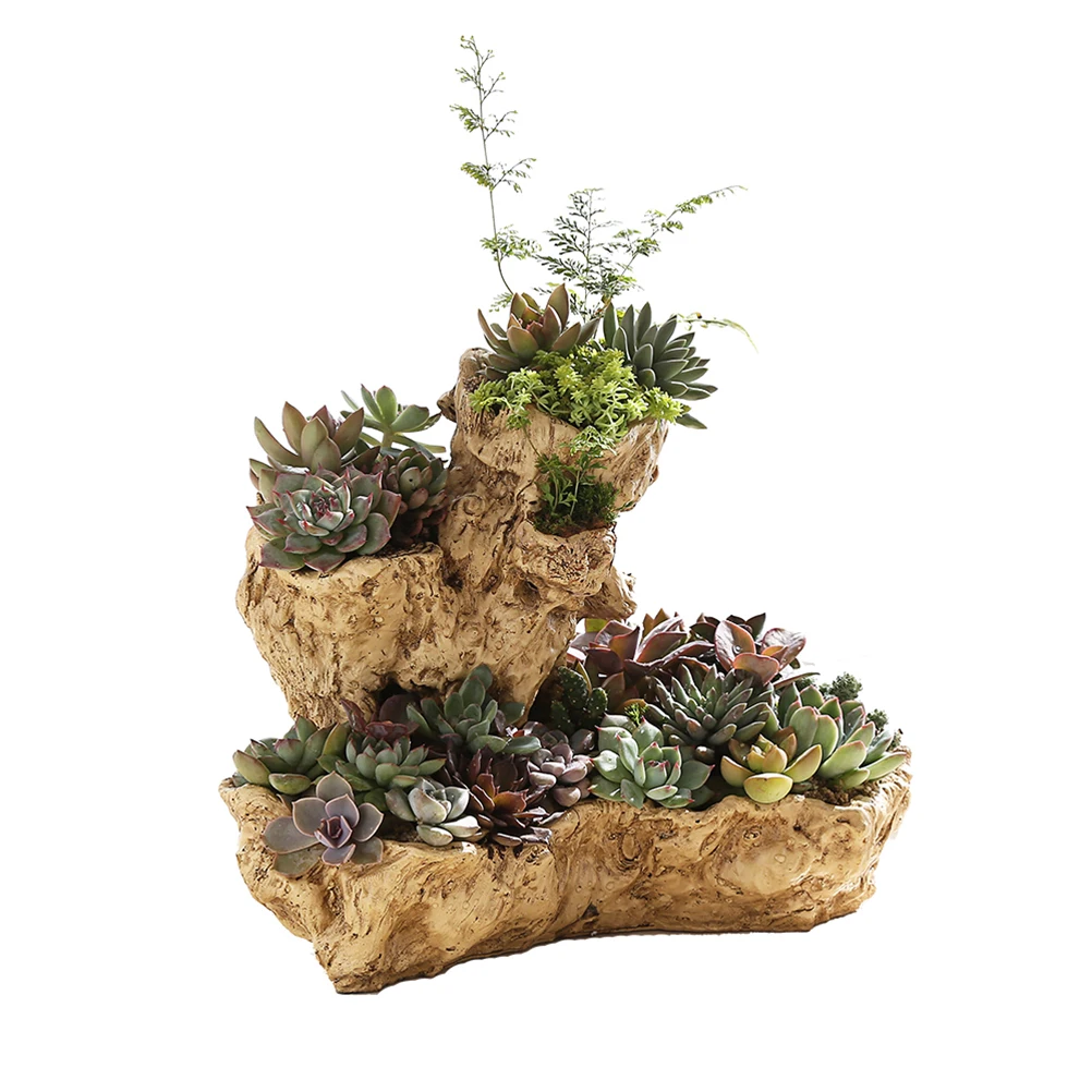BESTOYARD Simulation Tree Root Succulent Plant Pot Garden Planting Pots Outdoor Botanic Garden Beautiful Garden Flower DIY Pots
BESTOYARD Simulation Tree Root Succulent Plant Pot Garden Planting Pots Outdoor Botanic Garden Beautiful Garden Flower DIY Pots