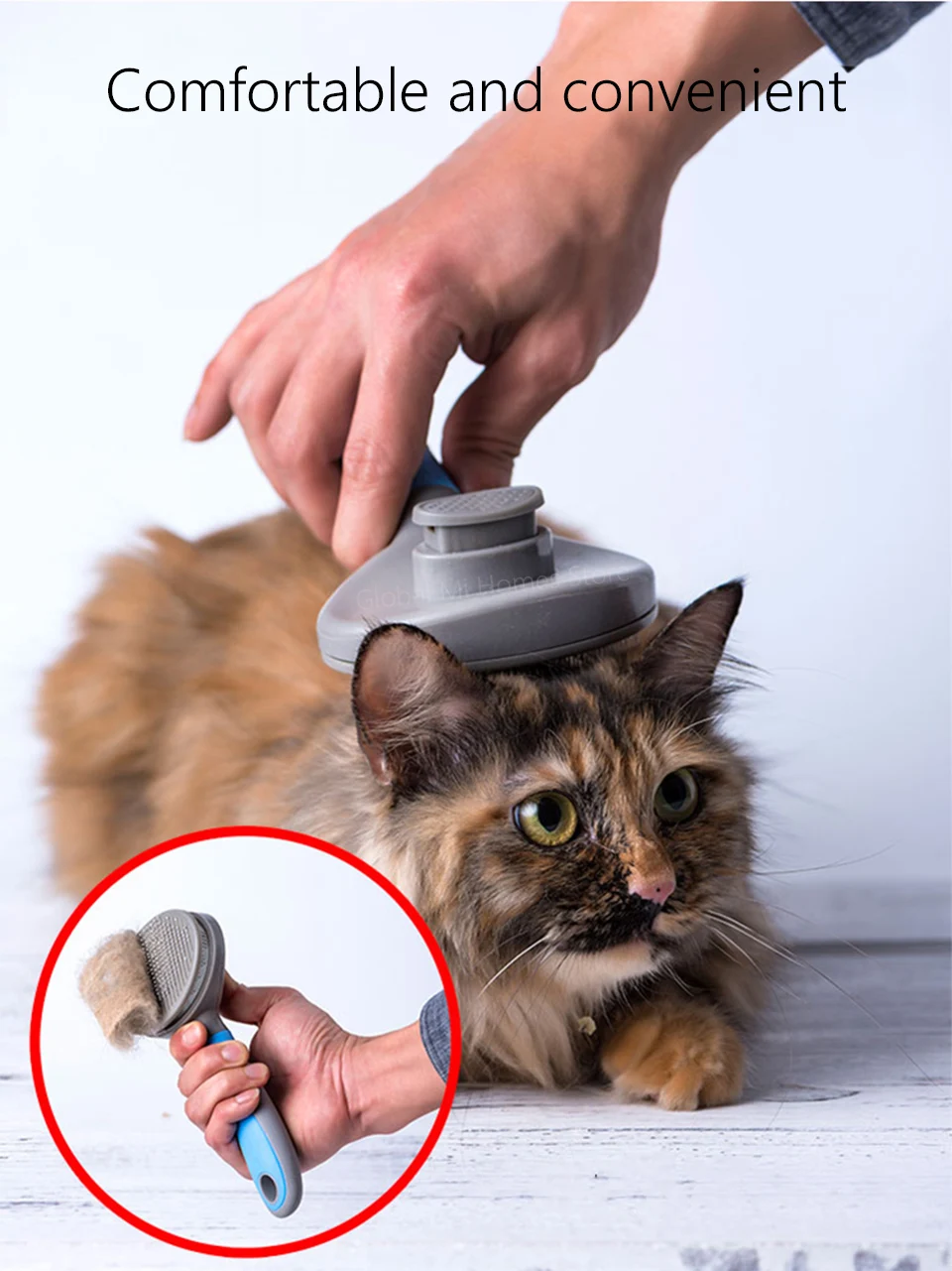 grooming tools for cats