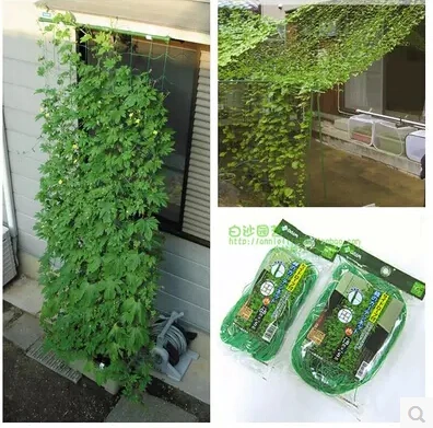 0.9*1.8m.3pcs/lot,Climbing net climbing plants grow net.garden supplies.Fruits and vines Climbing
0.9*1.8m.3pcs/lot,Climbing net climbing plants grow net.garden supplies.Fruits and vines Climbing