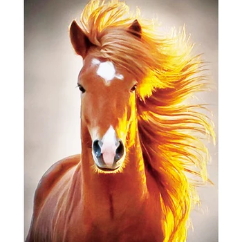 5D DIY full Round drill Diamond Painting Animal Embroidery Horse Cross Stitch Rhinestones Diamond Mosaic decor gift
5D DIY full Round drill Diamond Painting Animal Embroidery Horse Cross Stitch Rhinestones Diamond Mosaic decor gift