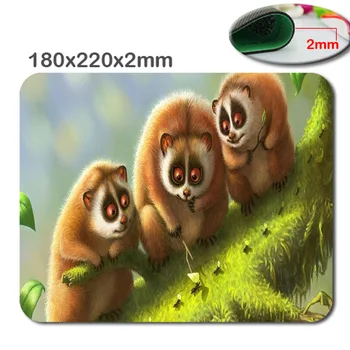 Hot Selling Private Custom Animal Cute Pig Rat Panda Design High Quality Durable Computer Gaming Mouse Pad Gamer Play Mats
Hot Selling Private Custom Animal Cute Pig Rat Panda Design High Quality Durable Computer Gaming Mouse Pad Gamer Play Mats