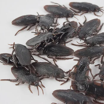 New model simulation cockroach Xiaoqiang Tricky Tricky Toys April Fool's Day Christmas Halloween New Year's small toys
New model simulation cockroach Xiaoqiang Tricky Tricky Toys April Fool's Day Christmas Halloween New Year's small toys