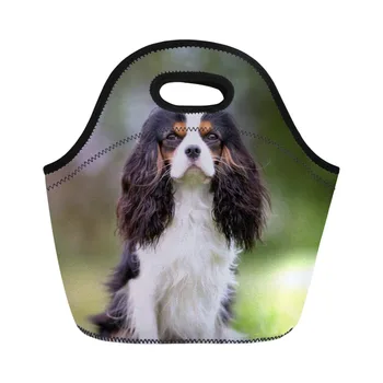 ThiKin 3d Spaniel Dog Lunch Bag Women Fashion Handle Tote for Kids Girls School Park Picnic Lunch Box Thermal Large Storage
ThiKin 3d Spaniel Dog Lunch Bag Women Fashion Handle Tote for Kids Girls School Park Picnic Lunch Box Thermal Large Storage