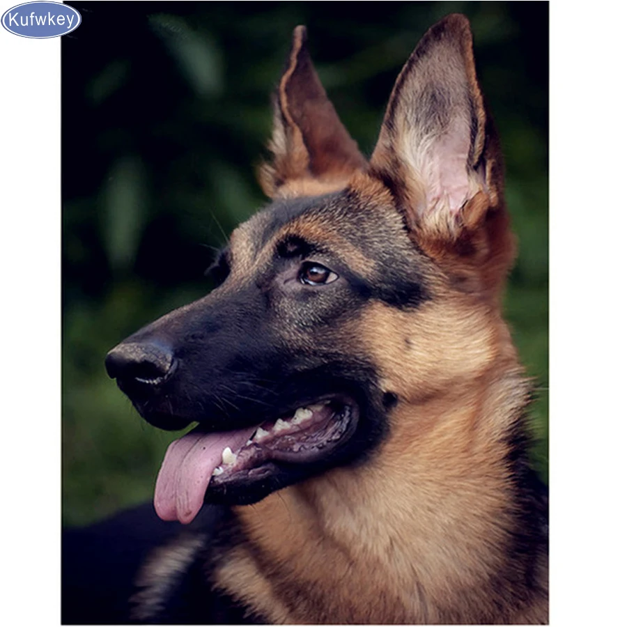 Full Diamond Embroidery German Shepherd Full Diamond Mosaic Pasted 5d Diamond Painting Cross Stitch DIY Home Decoration Crafts
Full Diamond Embroidery German Shepherd Full Diamond Mosaic Pasted 5d Diamond Painting Cross Stitch DIY Home Decoration Crafts