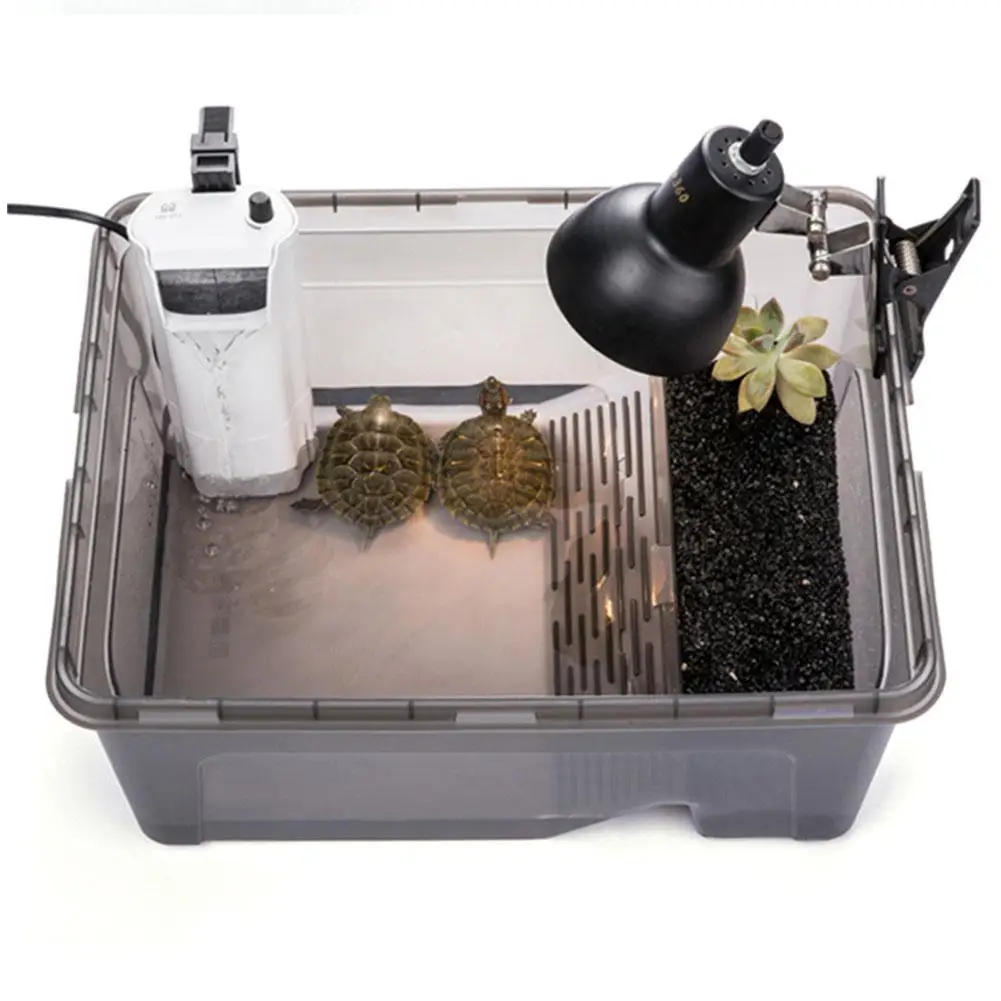Turtle Habitat Lake Terrapin Reptile Aquarium Tank Turtle Feeding Box Terrapin Food Bowl with Detachable Bask Platform
Turtle Habitat Lake Terrapin Reptile Aquarium Tank Turtle Feeding Box Terrapin Food Bowl with Detachable Bask Platform