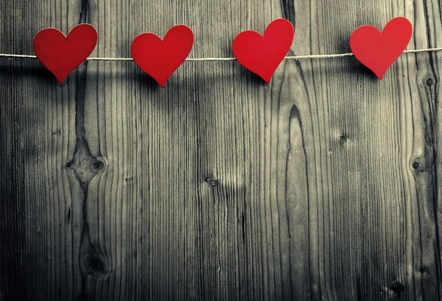 Laeacco Dark Wooden Board Planks Love Heart Doll Pet Portrait Photographic Backdrops Photography Backgrounds Photo Studio
Laeacco Dark Wooden Board Planks Love Heart Doll Pet Portrait Photographic Backdrops Photography Backgrounds Photo Studio