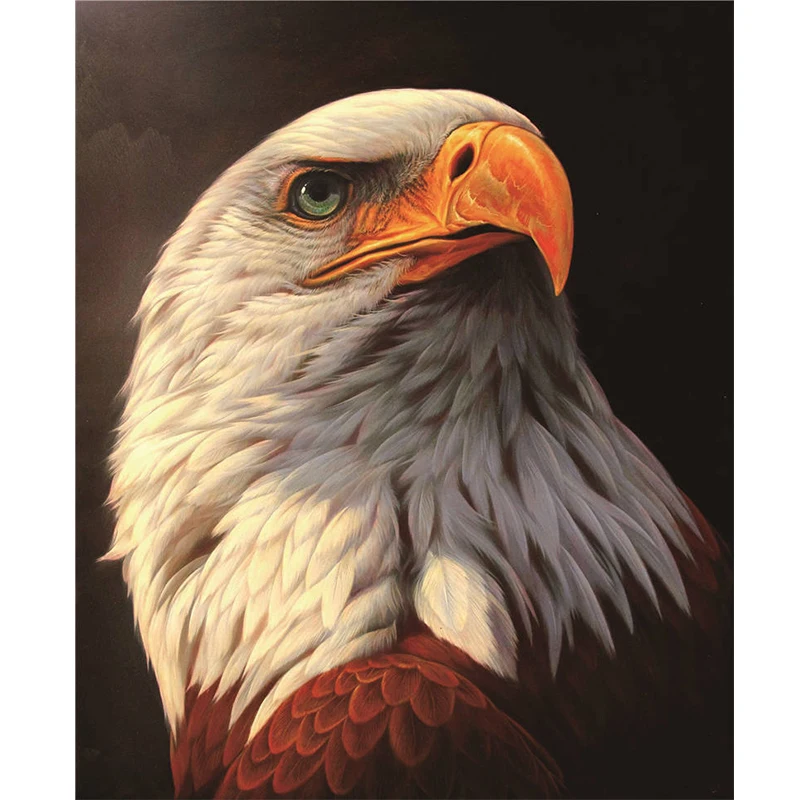 5d Diy Diamond Painting Cross Stitch Diamond Embroidery Painting Diamond Mosaic Eagle picture home decor
5d Diy Diamond Painting Cross Stitch Diamond Embroidery Painting Diamond Mosaic Eagle picture home decor