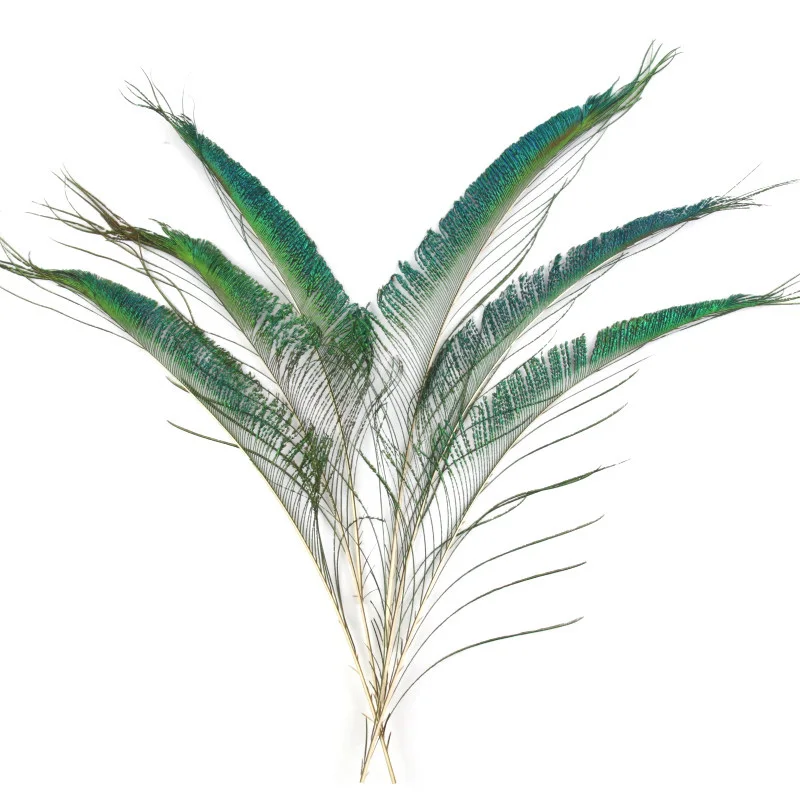 Beautiful Peacock Feathers 12-14 Inches / 30-35cm Natural Peacock Feather Sword Symmetrical DIY Wedding Party Decoration 50pcs
Beautiful Peacock Feathers 12-14 Inches / 30-35cm Natural Peacock Feather Sword Symmetrical DIY Wedding Party Decoration 50pcs