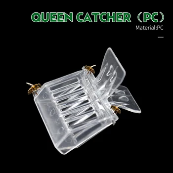 Brand 2PCS Queen Catcher Beekeeping Tool Suitable for Queen Bee Catcher Cage Bee Catcher Durable Beekeeper Tool Equip
Brand 2PCS Queen Catcher Beekeeping Tool Suitable for Queen Bee Catcher Cage Bee Catcher Durable Beekeeper Tool Equip