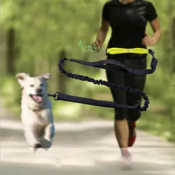 Nylon Reflective Pet dog leash Sports running double traction rope Waterproof Waist bag dog walking Elastic belt
Nylon Reflective Pet dog leash Sports running double traction rope Waterproof Waist bag dog walking Elastic belt