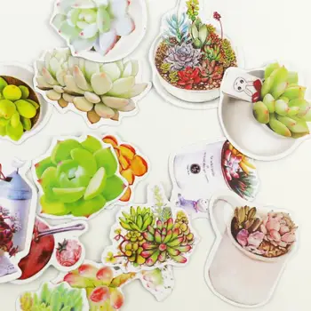 Fresh Succulent Plants Sticker Notebook Diary Book Decorative Stickers Label Stickers School Kawaii Paper Stickers Stationery
Fresh Succulent Plants Sticker Notebook Diary Book Decorative Stickers Label Stickers School Kawaii Paper Stickers Stationery