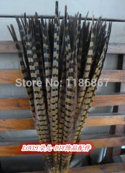 Free Shipping 22-24 inches 55-60cm yellow ringneck pheasant feather dyed pheasant tail feather 50pcs/lot
Free Shipping 22-24 inches 55-60cm yellow ringneck pheasant feather dyed pheasant tail feather 50pcs/lot
