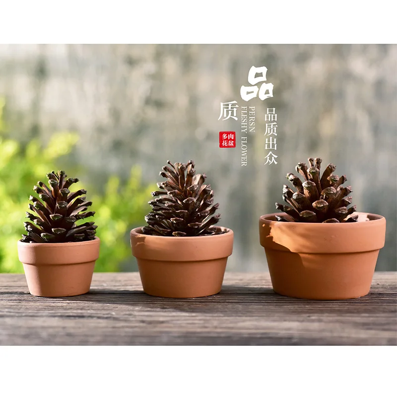 FREE SHIPPING!Fleshy Gardening Pots Small Potted Special Personalized Pottery Ceramic Flower Pot Square Pots.terra-cotta
FREE SHIPPING!Fleshy Gardening Pots Small Potted Special Personalized Pottery Ceramic Flower Pot Square Pots.terra-cotta