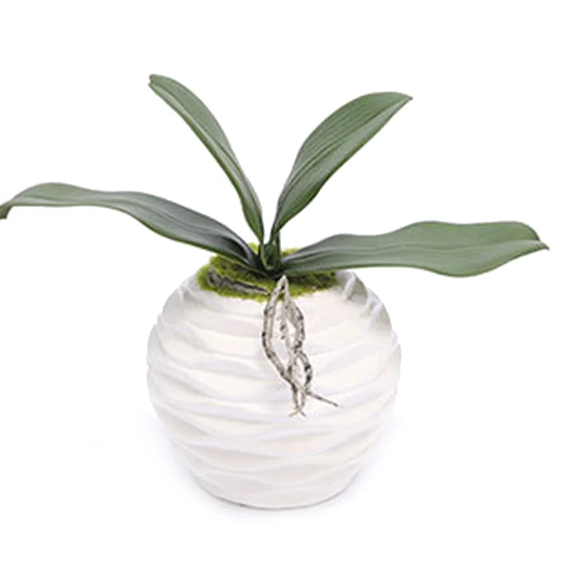 Butterfly Artificial Plants Orchid Leaves Decor Decal Realistic 25cm Phalaenopsis Greenery
Butterfly Artificial Plants Orchid Leaves Decor Decal Realistic 25cm Phalaenopsis Greenery