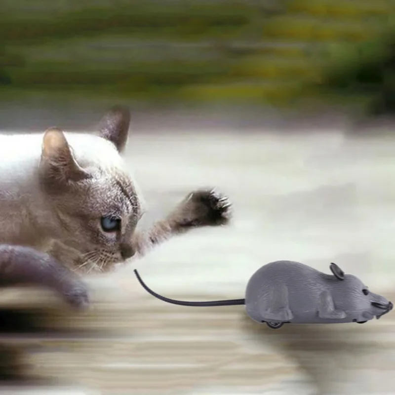 Cats Optional Mice Toy Cute Lifelike Mouse Toy Pull Back Pull String Toys Automatic Go Forward Mouse For Gatos
Cats Optional Mice Toy Cute Lifelike Mouse Toy Pull Back Pull String Toys Automatic Go Forward Mouse For Gatos