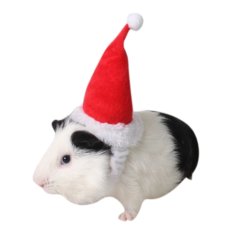 Small Pets Christmas Festival Decorative Costume Hamster Squirrel Santa Hat with Band Pet Products
Small Pets Christmas Festival Decorative Costume Hamster Squirrel Santa Hat with Band Pet Products