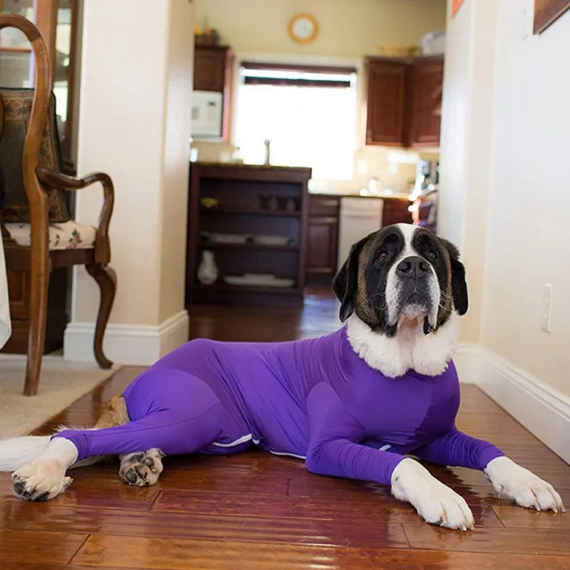 Recovery Post Operative Protection Clolthes Long Sleeves Bodysuit Jumpsuit For Dogs E Collar Alternative
Recovery Post Operative Protection Clolthes Long Sleeves Bodysuit Jumpsuit For Dogs E Collar Alternative