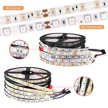 LED Strip Light SMD 5050 DC 24V 60led/M LED Lights flexible led ribbon Waterproof IP65 IP20 diode tape LED lighting DC24V
LED Strip Light SMD 5050 DC 24V 60led/M LED Lights flexible led ribbon Waterproof IP65 IP20 diode tape LED lighting DC24V