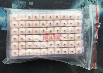 600pcs quality magnetic Auricular Vaccaria ear beads ear press seeds paste auricular acupuncture massage
600pcs quality magnetic Auricular Vaccaria ear beads ear press seeds paste auricular acupuncture massage