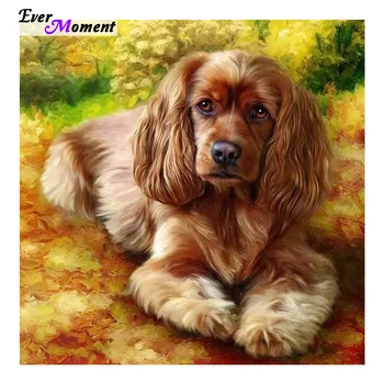 Animal Diamond embroidery Icon DIY Diamond Painting Pet dog Rhinestone Needlework Mosaic diamond Sticker Decor painting ASF399 
Animal Diamond embroidery Icon DIY Diamond Painting Pet dog Rhinestone Needlework Mosaic diamond Sticker Decor painting ASF399