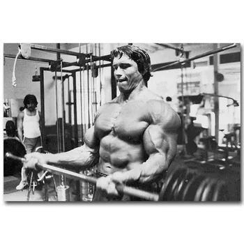 Arnold Schwarzenegger Bodybuilding Motivational Art Silk Poster Print Fitness Inspirational Picture for Room Wall Decor 030
Arnold Schwarzenegger Bodybuilding Motivational Art Silk Poster Print Fitness Inspirational Picture for Room Wall Decor 030