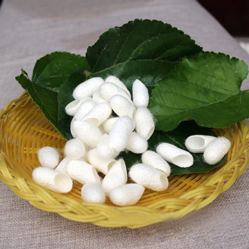 100PCS/Bag Natural Face Care Silkworm Cocoon Brush Clean Acne Face Exfoliating Scrub Blackhead remove Face Cleaning tool
100PCS/Bag Natural Face Care Silkworm Cocoon Brush Clean Acne Face Exfoliating Scrub Blackhead remove Face Cleaning tool