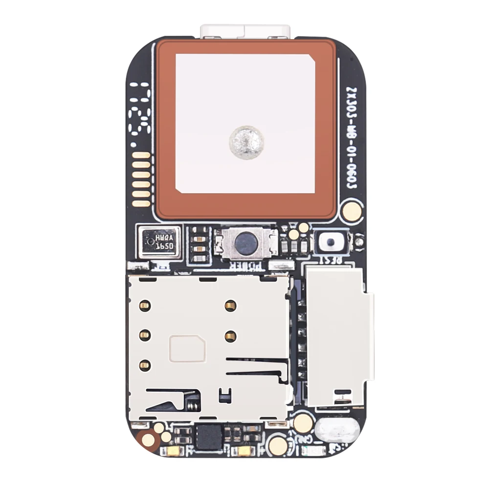 ZX303-1b