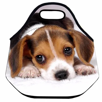 Dog Lunch Bag for Kids and Women, Cute Neoprene Lunch Bag, Animal Thermal Insulated Lunch Box Bag, Picnic Food Bag,Lunch Tote
Dog Lunch Bag for Kids and Women, Cute Neoprene Lunch Bag, Animal Thermal Insulated Lunch Box Bag, Picnic Food Bag,Lunch Tote