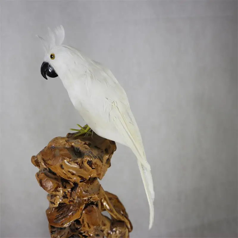 Simulation of feather bird simulation animal parrot in the living room wine cabinet decoration field photography teaching props
Simulation of feather bird simulation animal parrot in the living room wine cabinet decoration field photography teaching props