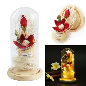 Home Decoration LED Night Lights Simulation Rose Glass Tank Micro Landscape Imitation Fancy Piece
Home Decoration LED Night Lights Simulation Rose Glass Tank Micro Landscape Imitation Fancy Piece