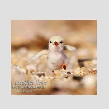 2016 new Diy Diamond Painting Cross Stitch Kits Diamond HandCraft Resin Craft Mosaic Embroidery Needlework Small chicken SH6850
2016 new Diy Diamond Painting Cross Stitch Kits Diamond HandCraft Resin Craft Mosaic Embroidery Needlework Small chicken SH6850