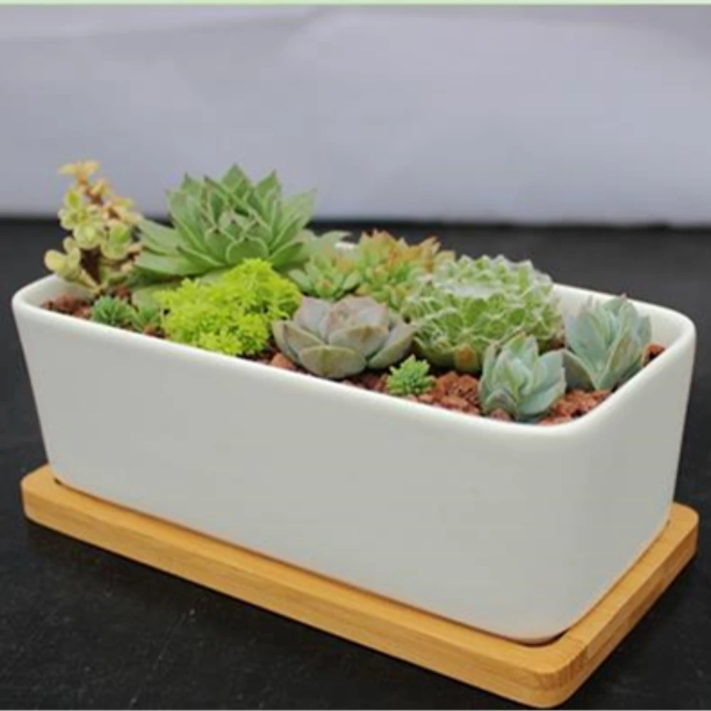 2pcs/lot 17.0cm Diameter Rectangular Shape White Ivory Ceramic Small Flower Pot for Succulent Plant Small Porcelain Pot
2pcs/lot 17.0cm Diameter Rectangular Shape White Ivory Ceramic Small Flower Pot for Succulent Plant Small Porcelain Pot