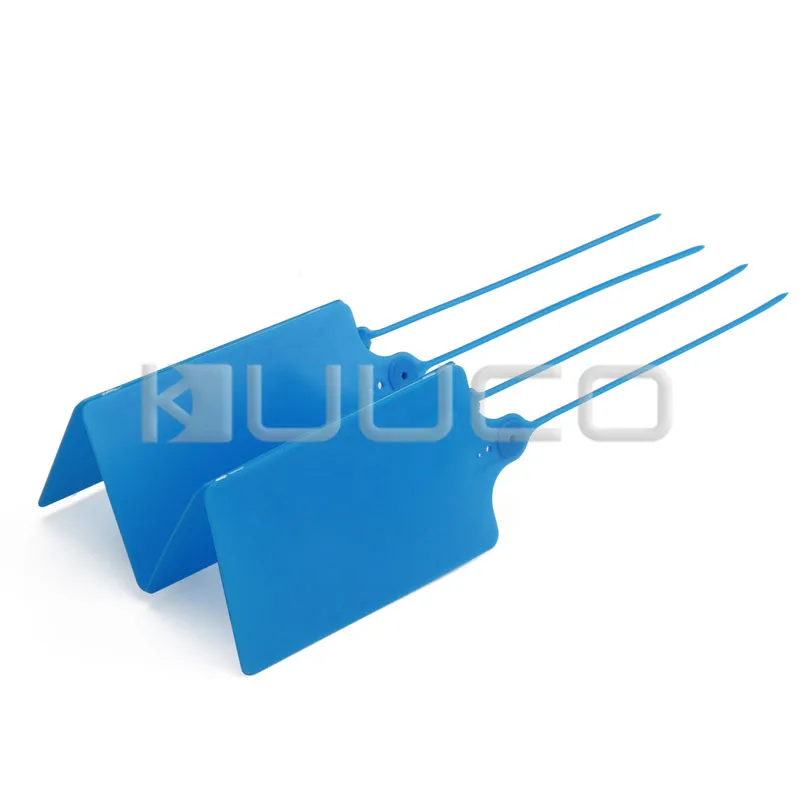 300435_K13