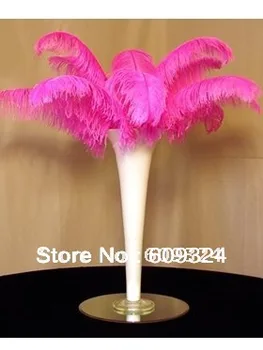 100 piece 12-14inch Prefect Hot Pink Ostrich Feather plume for party Wedding Decoration Centerpiece Table Centerpiece
100 piece 12-14inch Prefect Hot Pink Ostrich Feather plume for party Wedding Decoration Centerpiece Table Centerpiece