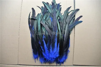 XCVU 300pcs 12-14inch(30-35cm) ROYAL BLUE Coque Tail Feathers Rooster COCK HACKEL feathers
XCVU 300pcs 12-14inch(30-35cm) ROYAL BLUE Coque Tail Feathers Rooster COCK HACKEL feathers