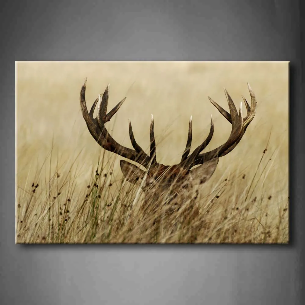 Framed Wall Art Picture Deer Antler Bushes Canvas Print Artwork Animal Modern Posters With Wooden Frames For Living Room
Framed Wall Art Picture Deer Antler Bushes Canvas Print Artwork Animal Modern Posters With Wooden Frames For Living Room