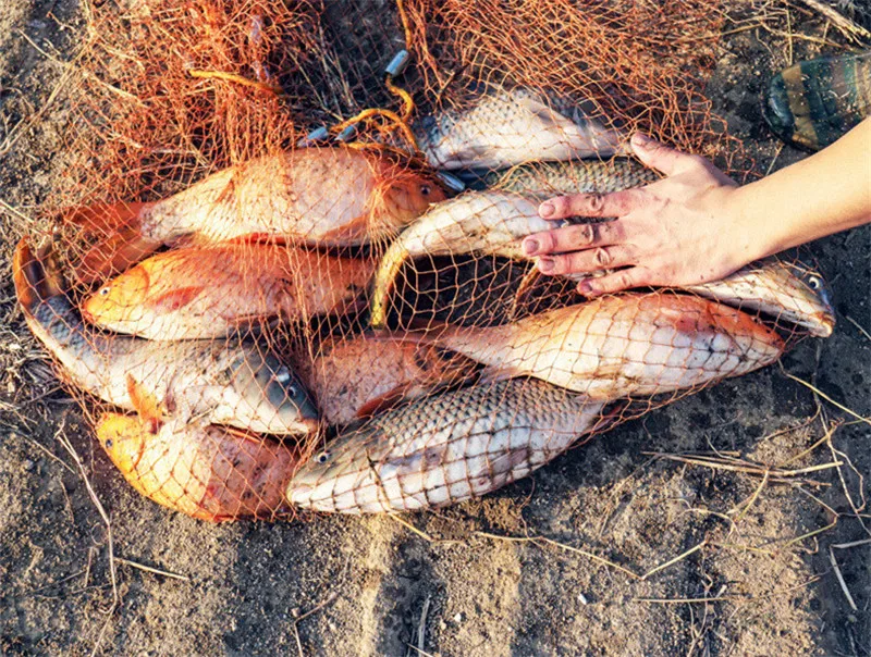 fishing accessories cheap fishing accessories cheap