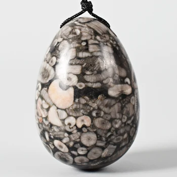 Drilled eggs Natural coral fossil Jade Egg Massage & Relaxation for Kegel Exercise Yoni Egg for Women 45X30MM Love Egg
Drilled eggs Natural coral fossil Jade Egg Massage & Relaxation for Kegel Exercise Yoni Egg for Women 45X30MM Love Egg